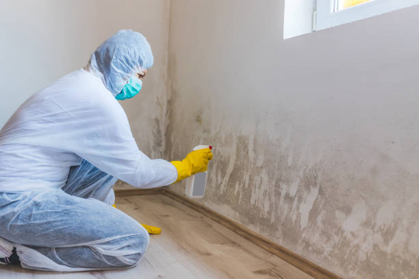 Hvac And Air Duct Mold Remediation inspection of HVAC system in Aaronsburg